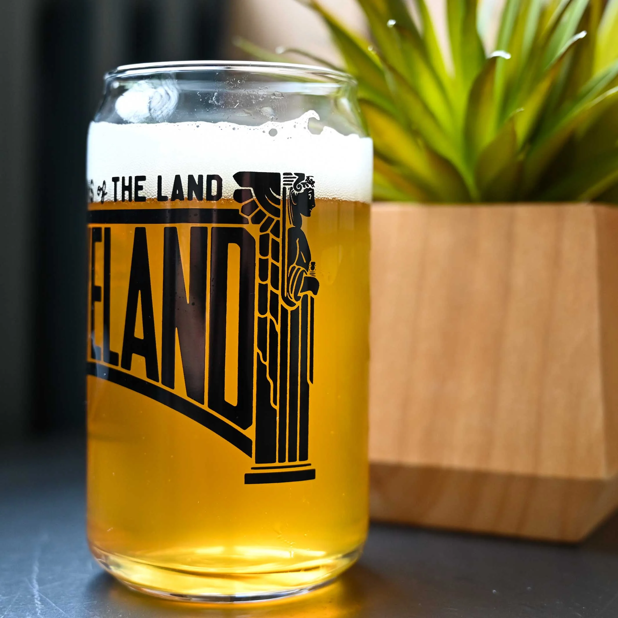 Guardians Of The Land Bridge 16 oz Pop Can Glass - Image 3