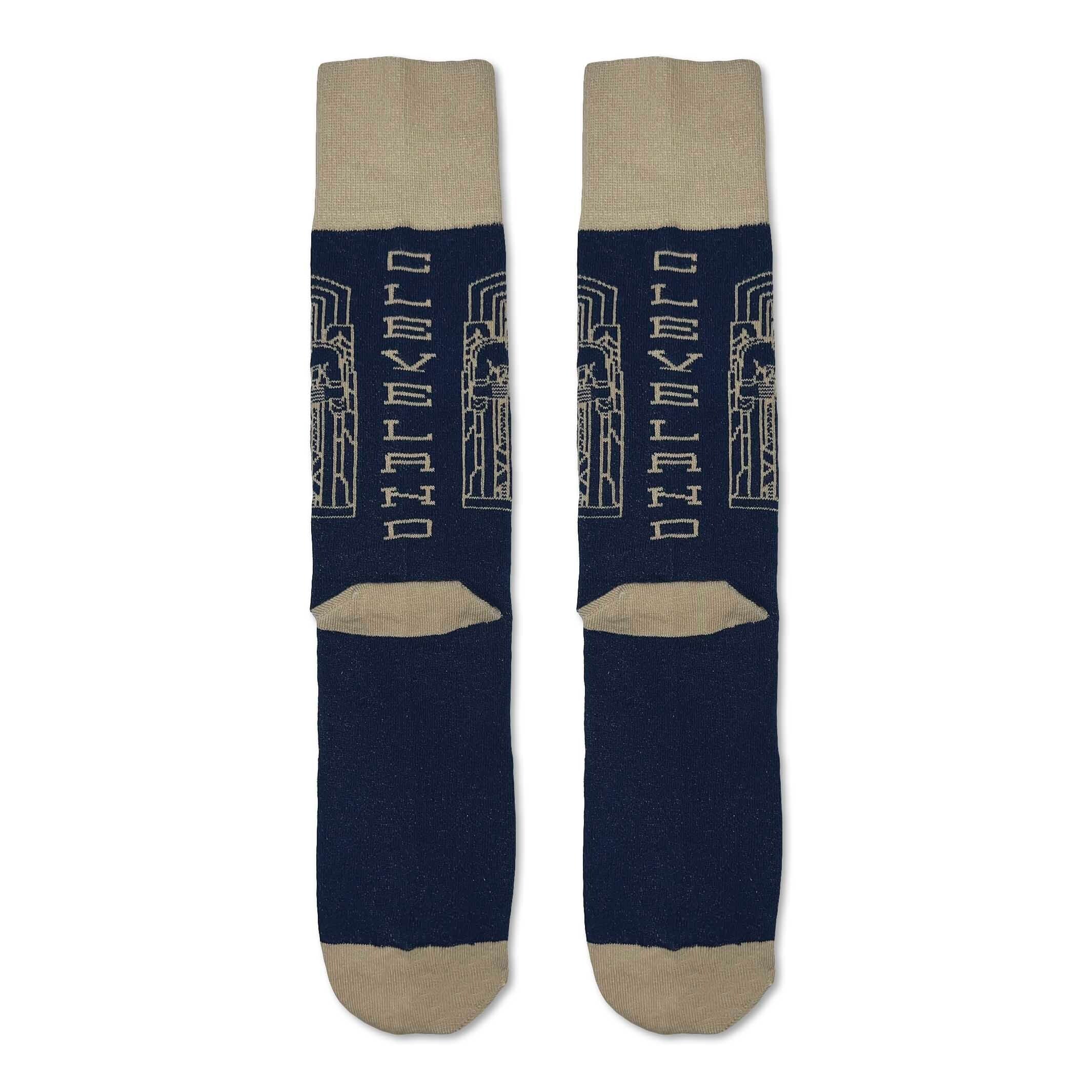 Guardian Landmark Socks - Navy/Khaki - Image 2